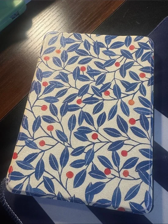 Kindle Paperweight Case