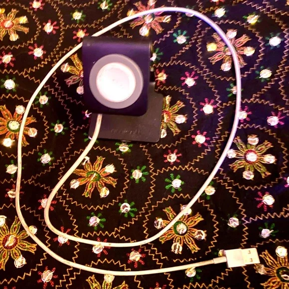 Apple 🍎 Watch charger