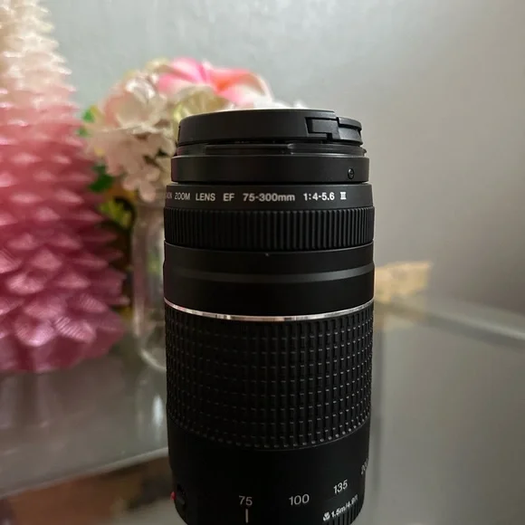 Canon EF 75-300mm Black Zoom Lens and 18-55 lens