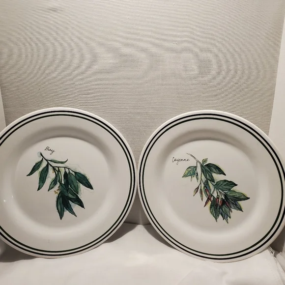 2 Williams Sonoma 8 1/4