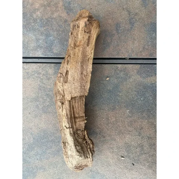 Natural Driftwood for Plants Terrarium Taxidermy Art Projects