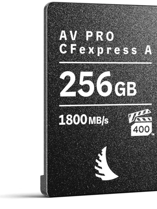 CFexpress Type A 256GB Memory Card - Black
