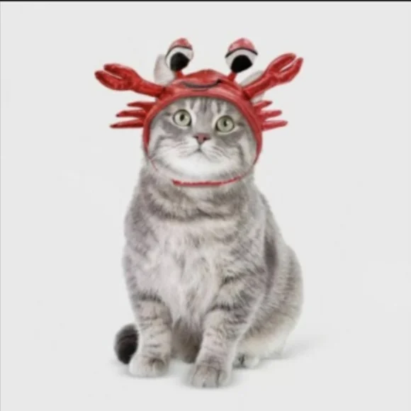 Crab Hat Halloween Cat Costume