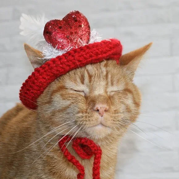 HAND CRAFTED Hat Crochet Valentine's Day Cat Dog Costume Photo Prop Red
