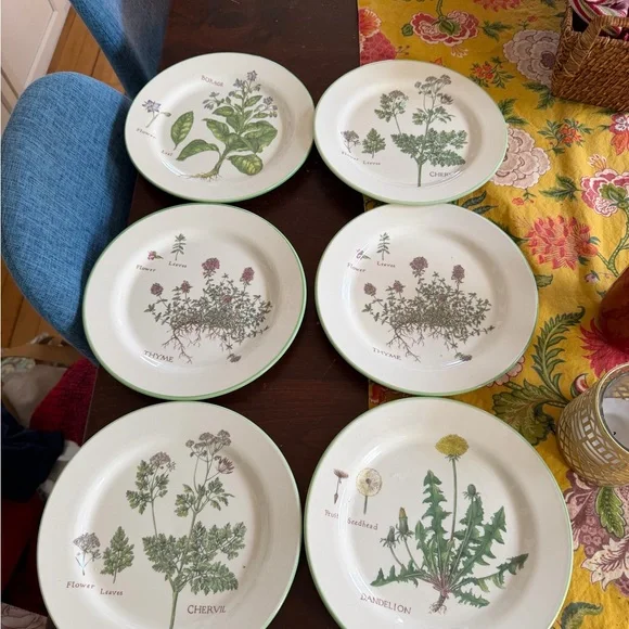 Williams Sonoma Botanical Herb salad Plates Set 6