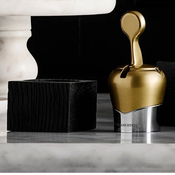 Williams Sonoma NWT Gold and Silver Champagne Stopper