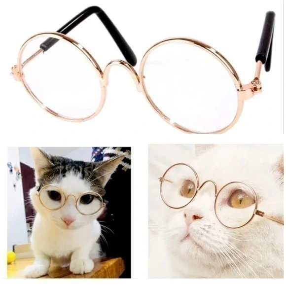 Cat - Dog - Baby Doll Glasses - Spectacles!