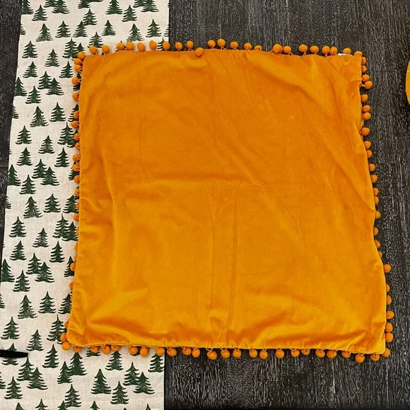 Set of 4 26x26 Velvet Throws with pompoms-cases only