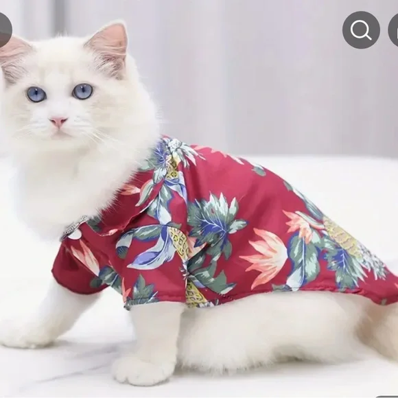 🆕Floral Red Cat Shirt