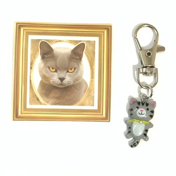 Gray Cat Keychain and Sticker Set