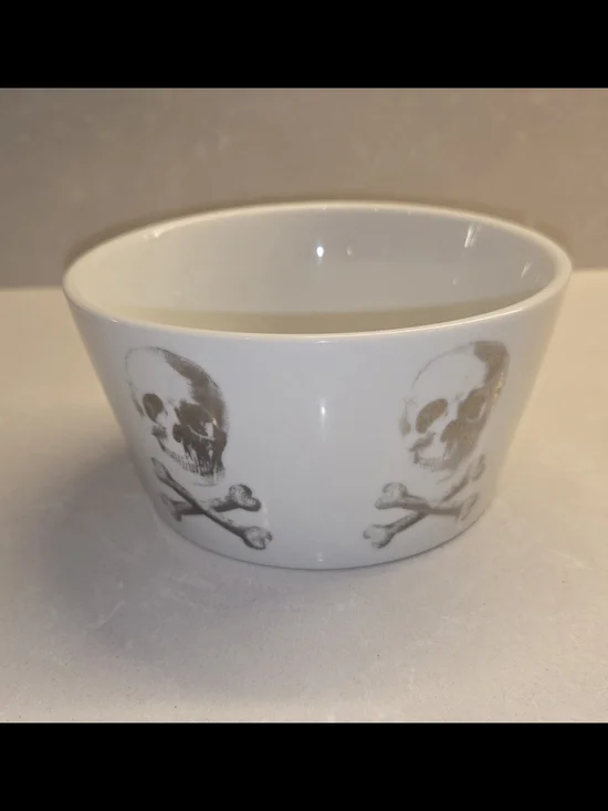 Z Gallerie Christian Audigier Skull Crossbones Bowl Cereal Soup Halloween 5.5”