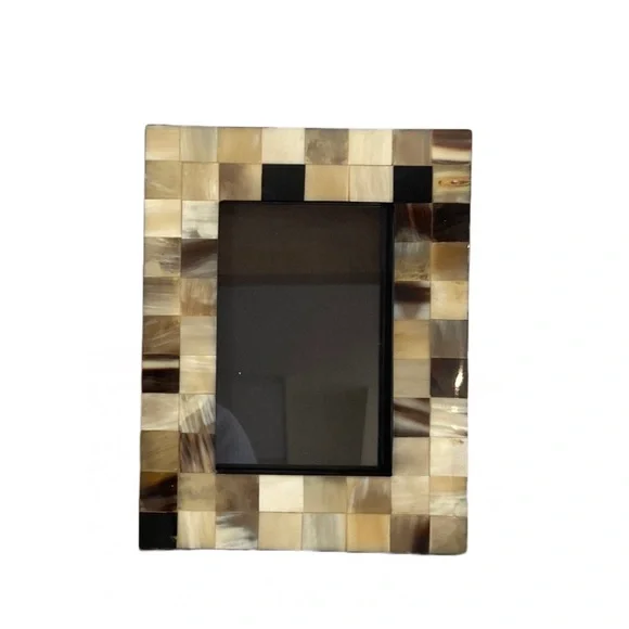 Z Gallerie Horn and Bone Picture Frame