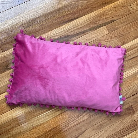 ♻️Pink pillow case 19x 12 throw pillow