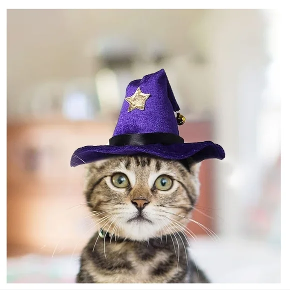 Pet Wizard Hat with Bell