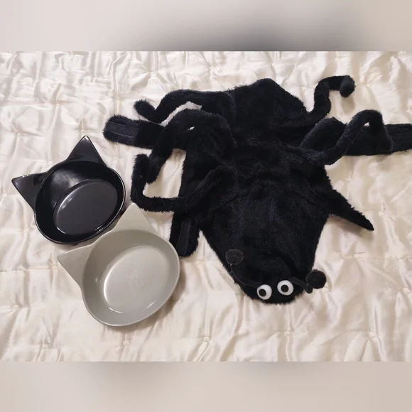 Kitty Spider Costume.