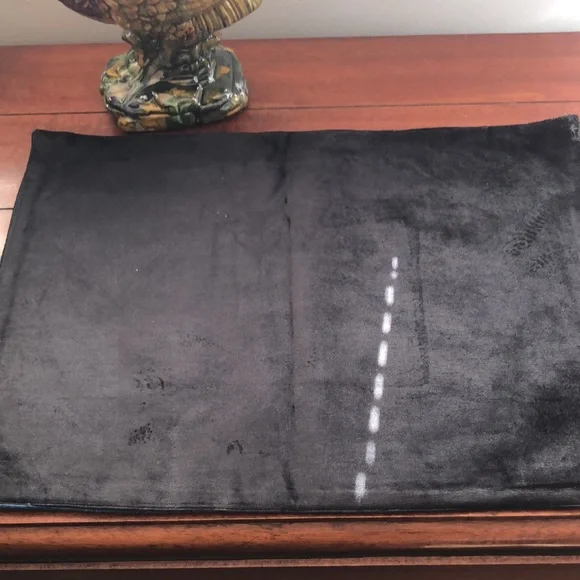 Z Gallerie Velvet Placemat Set