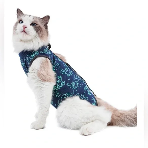 Cat Recovery Suit (New)