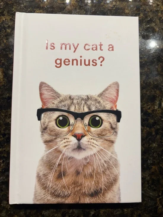 Is My Cat a Genius? Fun Cat-Themed Book