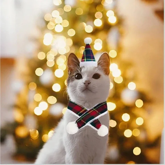 Festive Plaid Cat Hat and Scarf Set