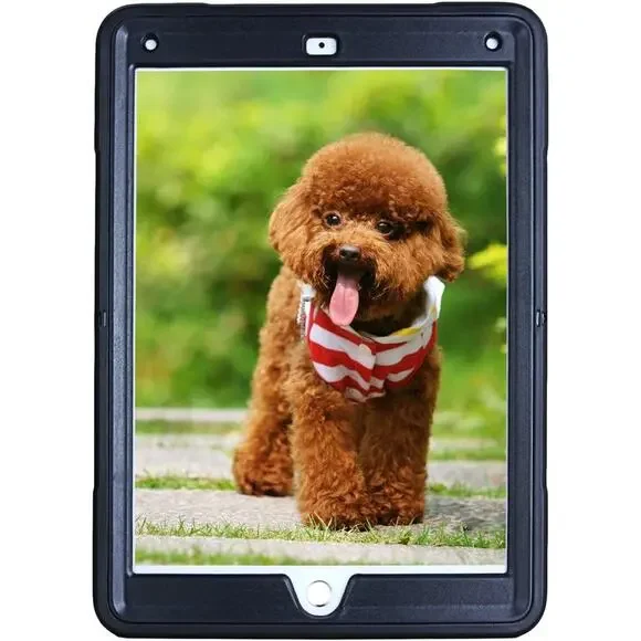 for Apple iPad Pro 9.7