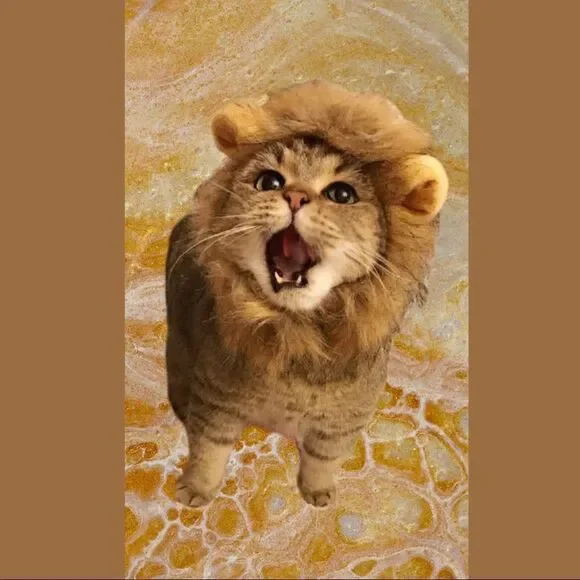 Lion Face Costume