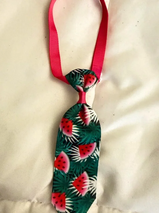 Dog or Cat bow and ties
