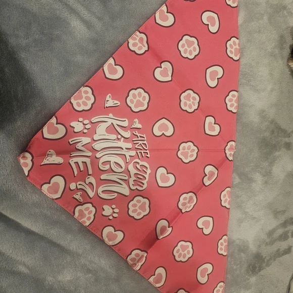 Cat Bandana with Paw Prints
