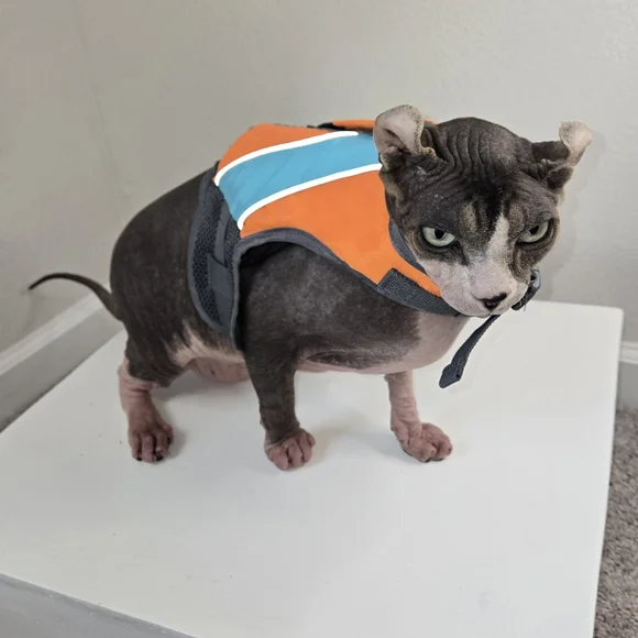 Orange and Blue Cat Life Jacket