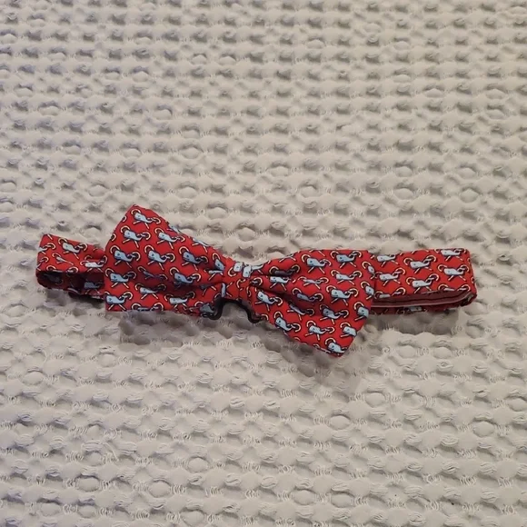 Vineyard Vines Red and Blue Kids Bow Tie (48)