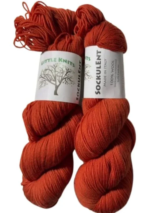 2 Skein Little Knits Sockulent Sock Yarn Extra Fine Merino Wool Superwash #519-