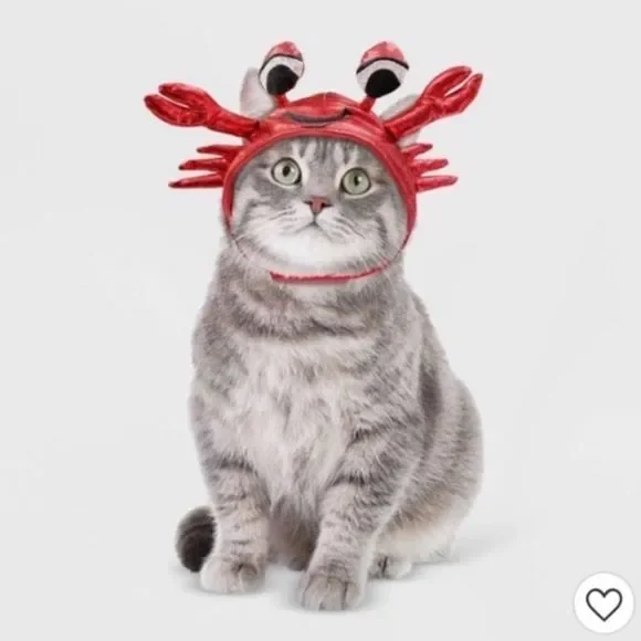 Cat Crab Halloween Hat NEW