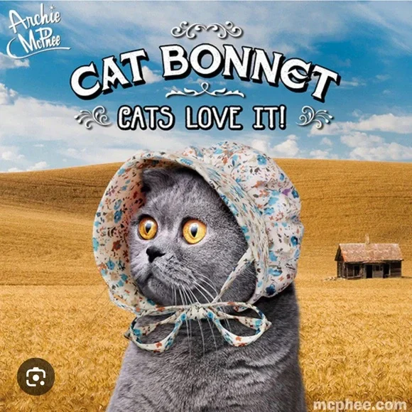 Cat Bonnet