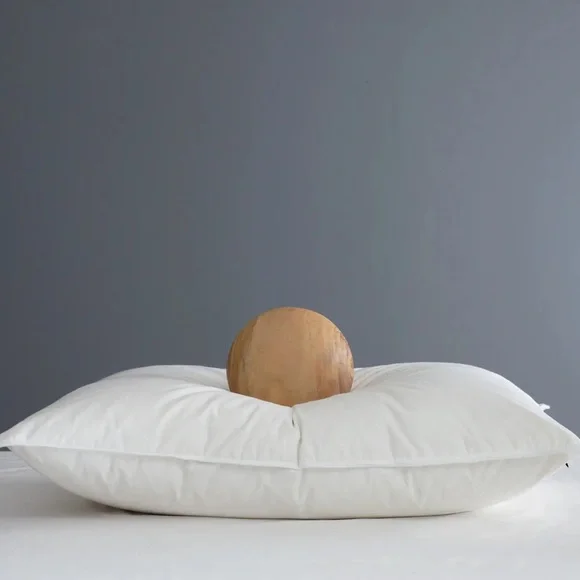 NWOT QUINCE Premium Down Alternative Pillow Firm Standard 1711