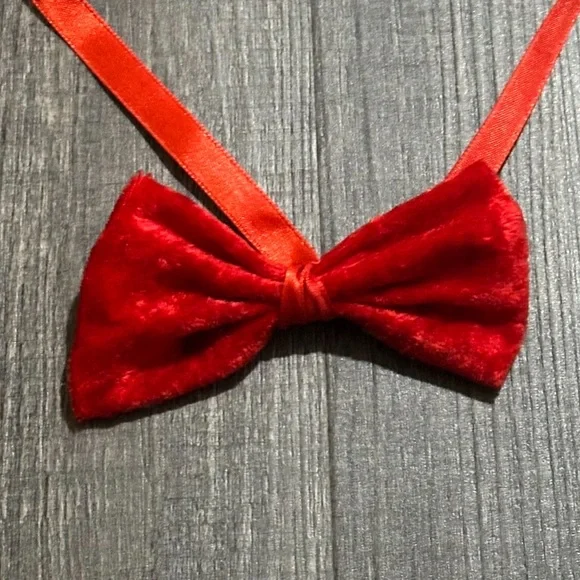 💞 Red Velvet Tie on Bow Tie for Costumes & Dress Up