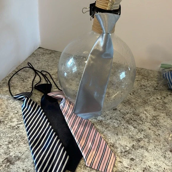 NWOT 10 inch unisex ties set of 4. Attached elastic cord goes under the collar