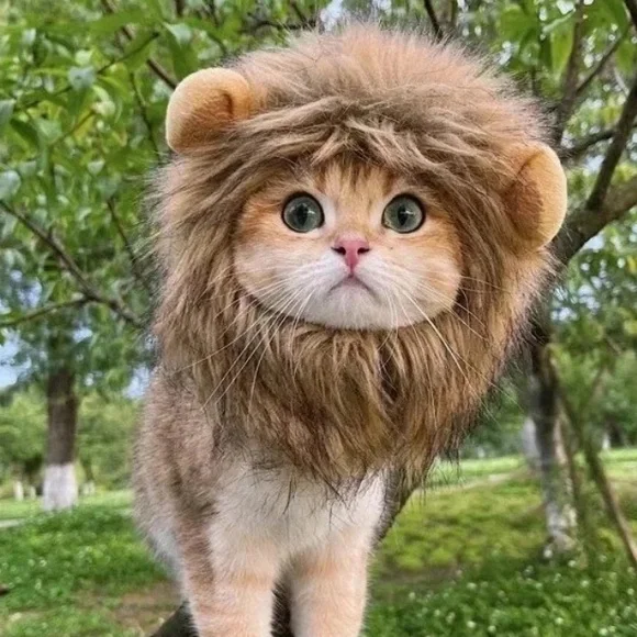 Cute Lion Mane Cat Wig Small Dog Cats Costume Lion Mane Wig Cap