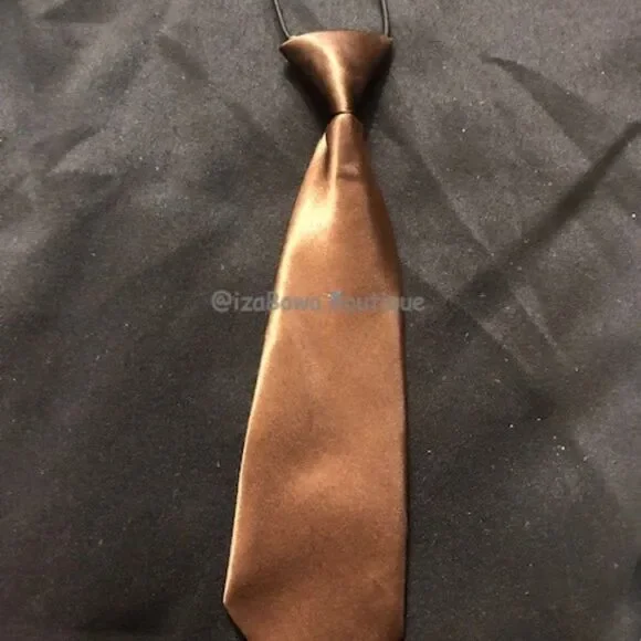 Brown Satin Tie TY1215 NWT Boutique