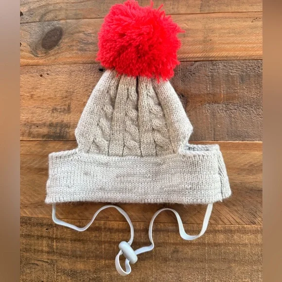 Cat Santa Hat
