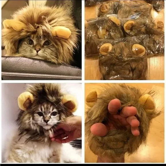 Cat costume
