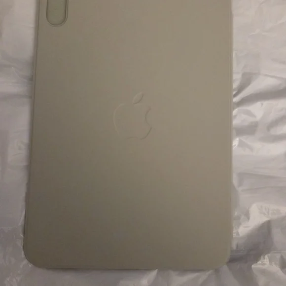 Apple Smart Folio iPad Mini magnetic case in Sage.