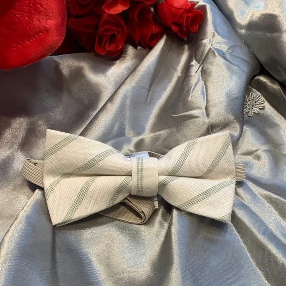 🌹 Boys H&M • Cream Bow Tie with Light Green Diagonal Stripes - EUC