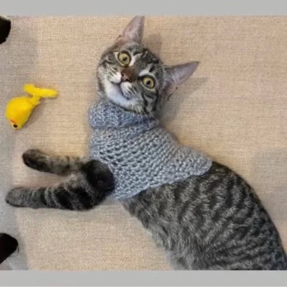 Kitty sweater!