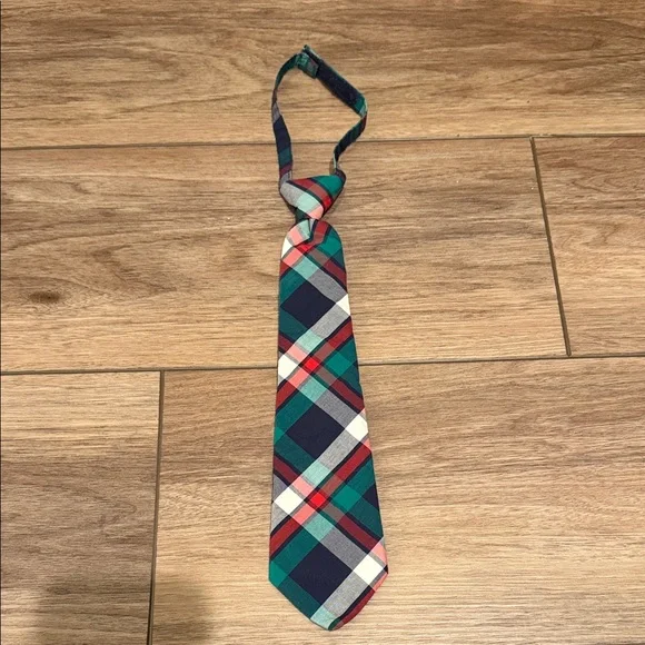 Plaid Multicolor boys Tie