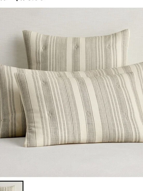 Hawthorn Stripe King Size Shams. Set Of 2 NWT Beige With Charcoal Stripes
