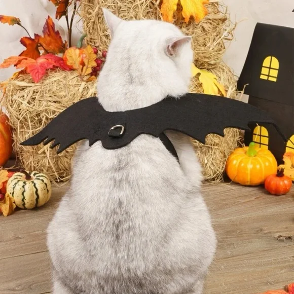 🐈‍⬛ Adorable Bat Wings Costume For Your Kitty Cat 🦇