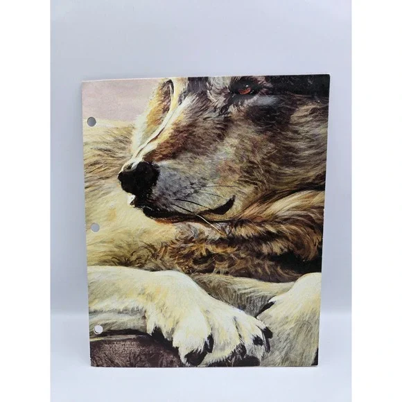 Raymond Geddes Wolf Folder Kids OS Brown Excellent 1998 Jan Martin McGuire‎ Art