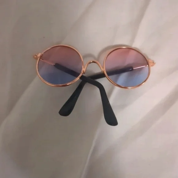 cat sunglasses