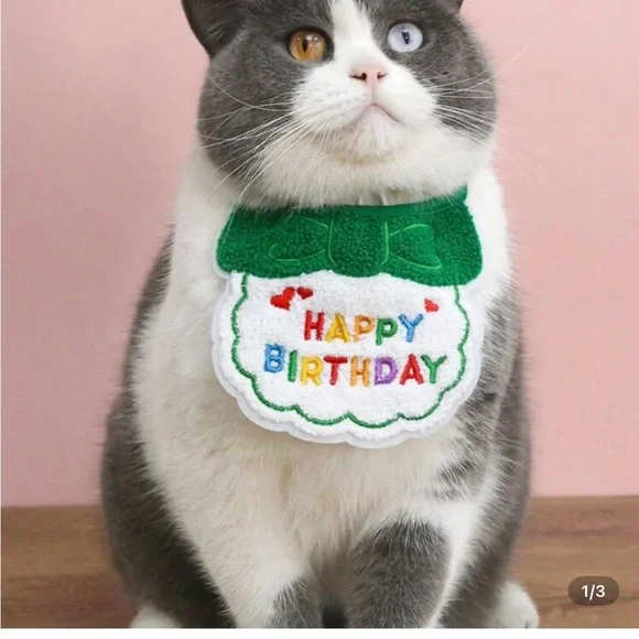 Happy Birthday Cat Bandana - Green and White