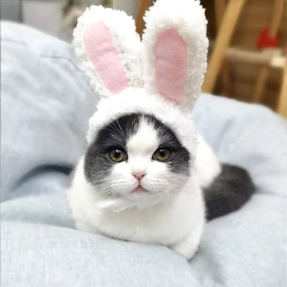 Cozy Bunny Ears Cat Hat - White and Pink