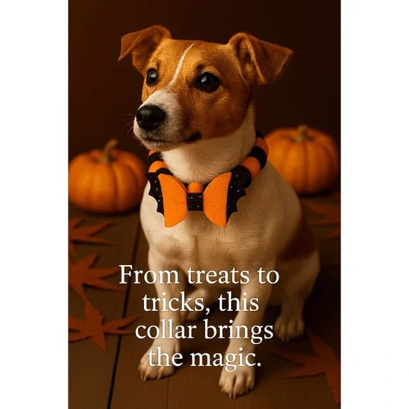 Halloween Pet Collar – Bat Bow for Cats & Dogs, Adjustable Fit Orange/Black